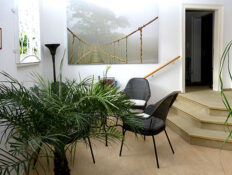 Physiotherapie Dresden Cotta