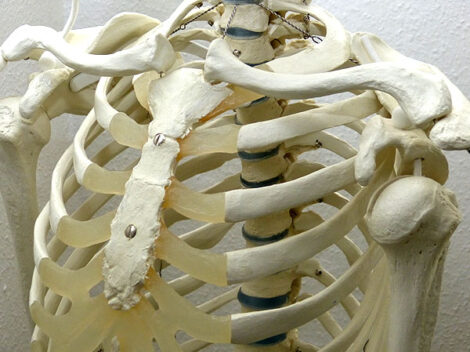 Physiotherapie Dresden Cotta