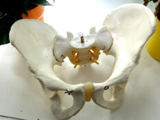 Physiotherapie Dresden Cotta