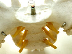 Physiotherapie Dresden Cotta